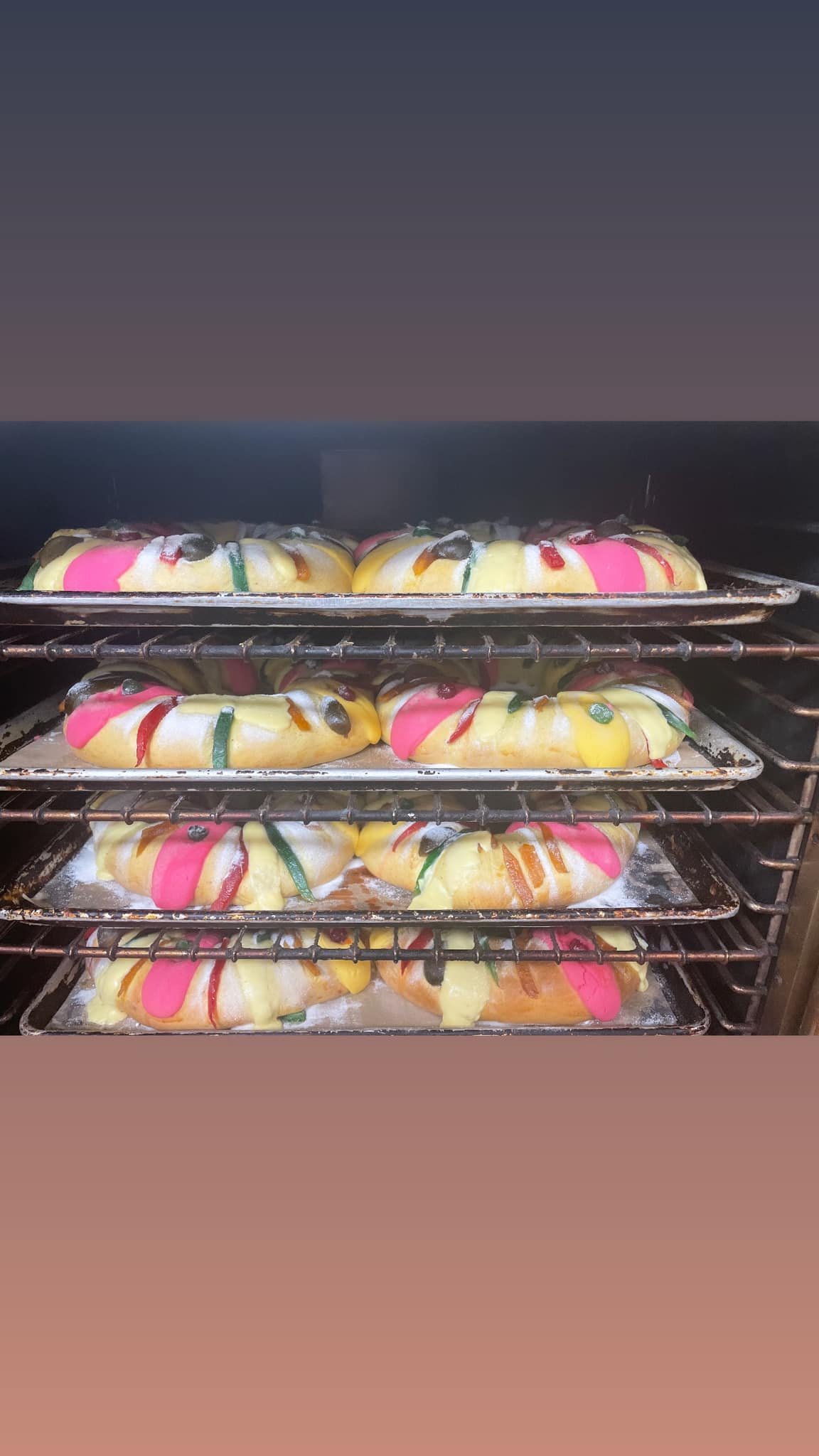 Multiple colorful Rosca de Reyes sweet breads are neatly arranged on metal racks, likely in an oven or proofing cabinet.